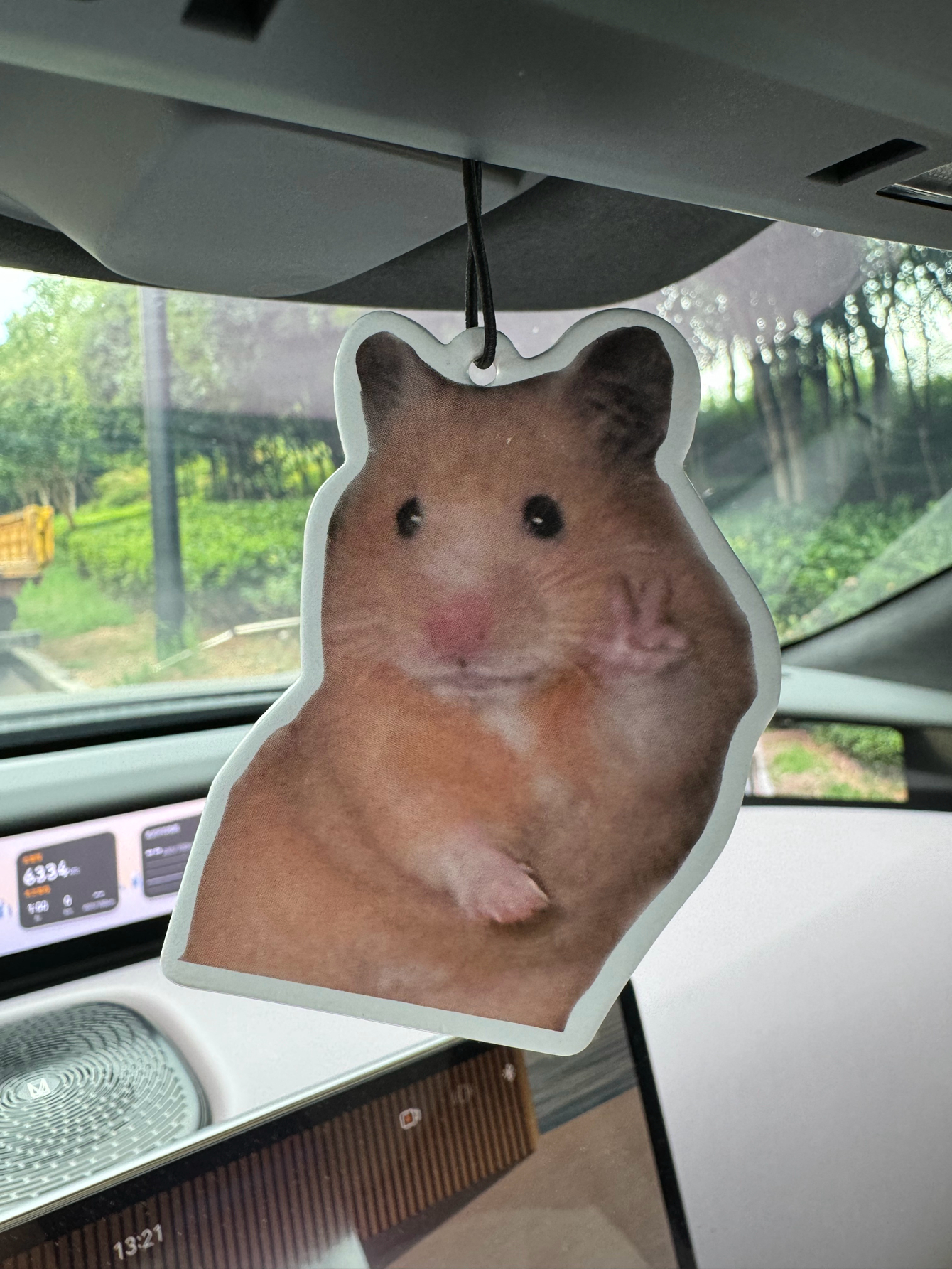 Magnet Hamster Meme Magnet Ham - Perfume Room Fragrance 评论和价格