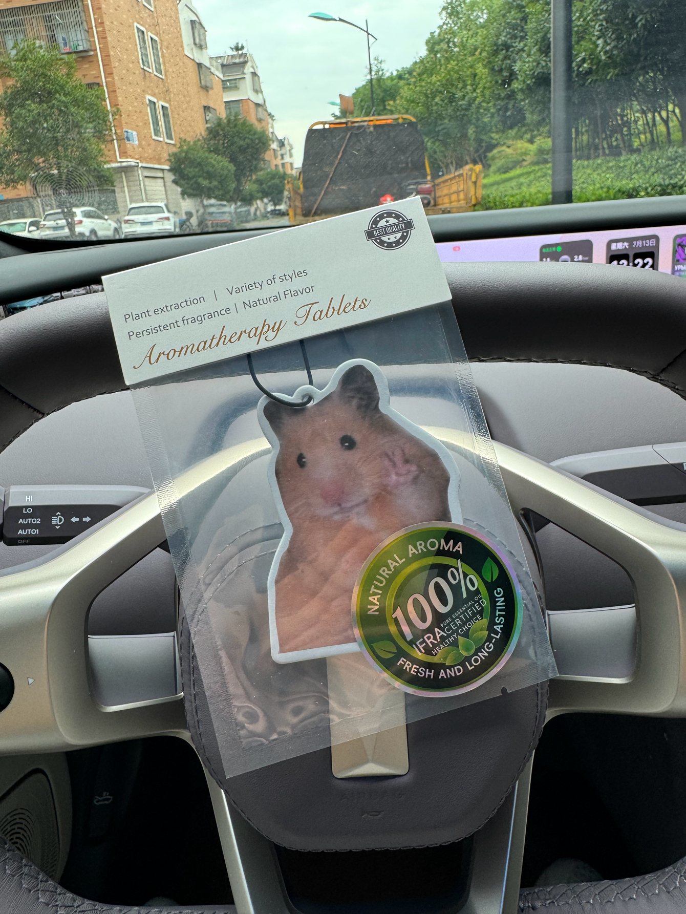 Magnet Hamster Meme Magnet Ham - Perfume Room Fragrance 评论和价格