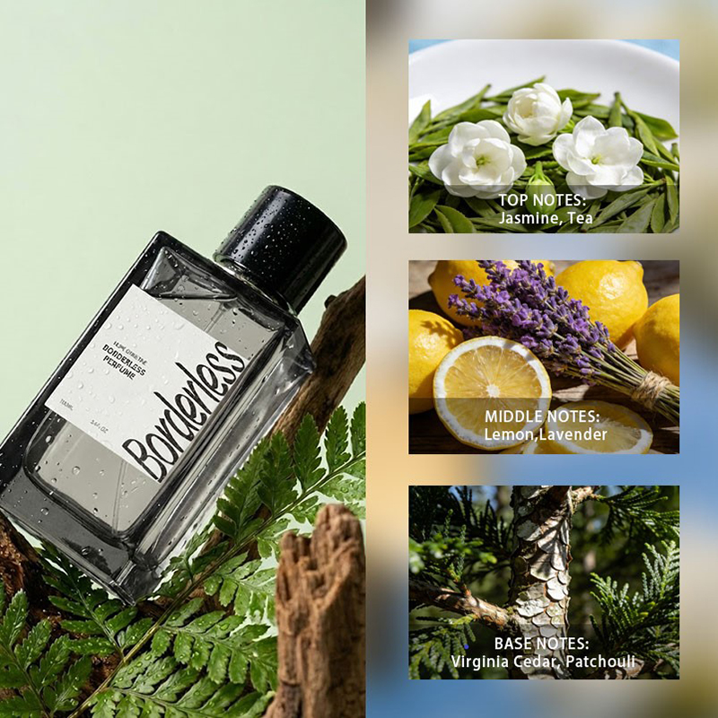 Luxury Borderless Men Perfume  - Perfume Jasmine Fragrance 评论和价格
